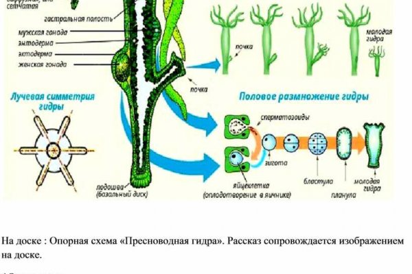 Ссылка на блэкспрут через тор онион